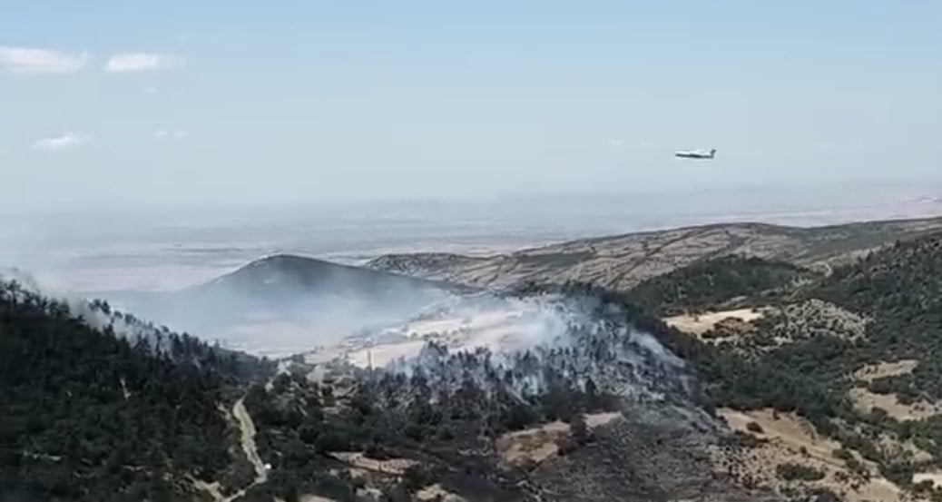 BALIKESİR'İN KEPSUT İLÇESİNDE ARAZİDE BAŞLAYIP ORMANA SİRAYET EDEN YANGINLA MÜCADELE...