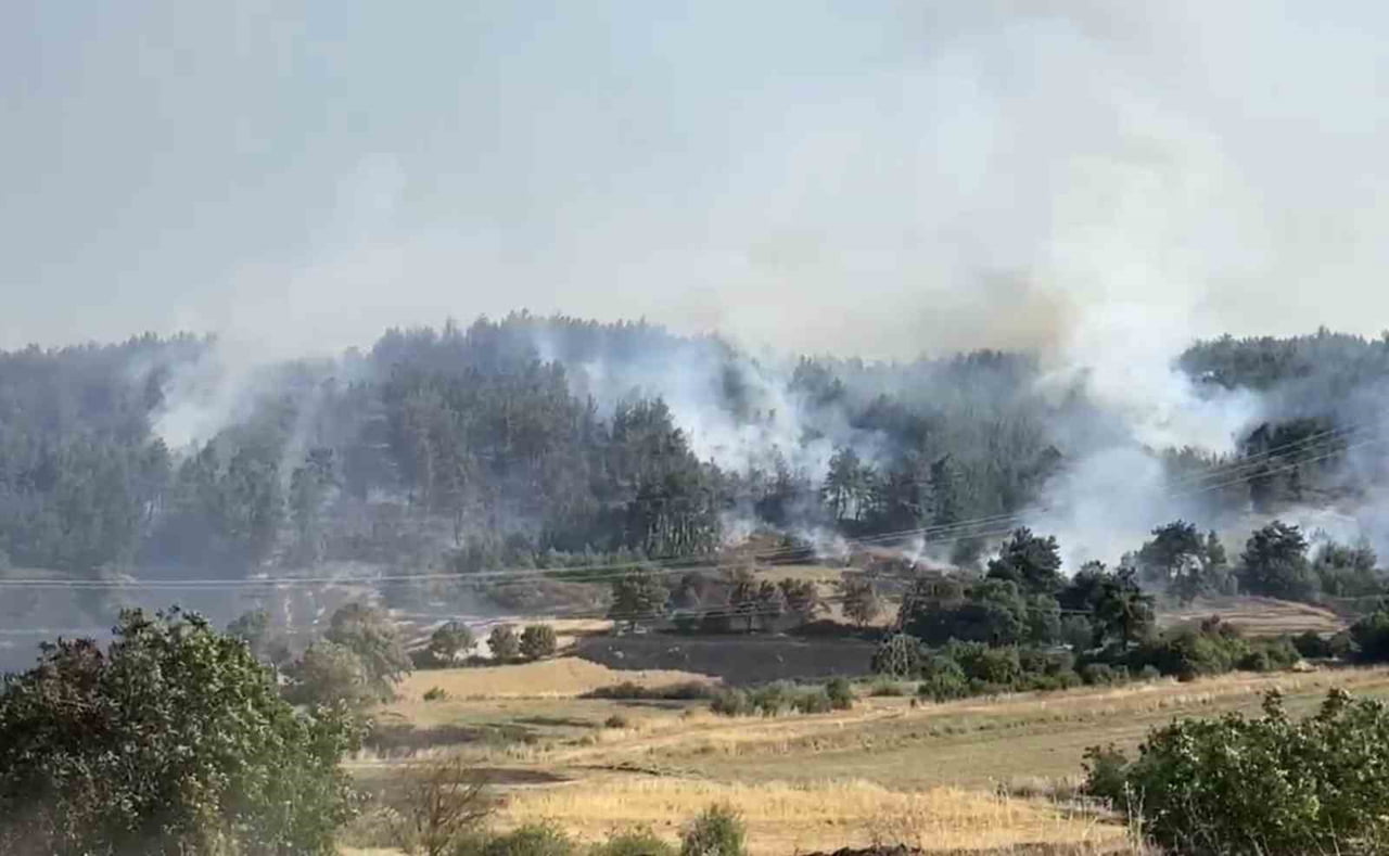 BALIKESİR'İN MERKEZ ALTIEYLÜL İLÇESİ KIRSALINDA ARAZİDE BAŞLAYIP ORMANA SİRAYET EDEN YANGINLA...