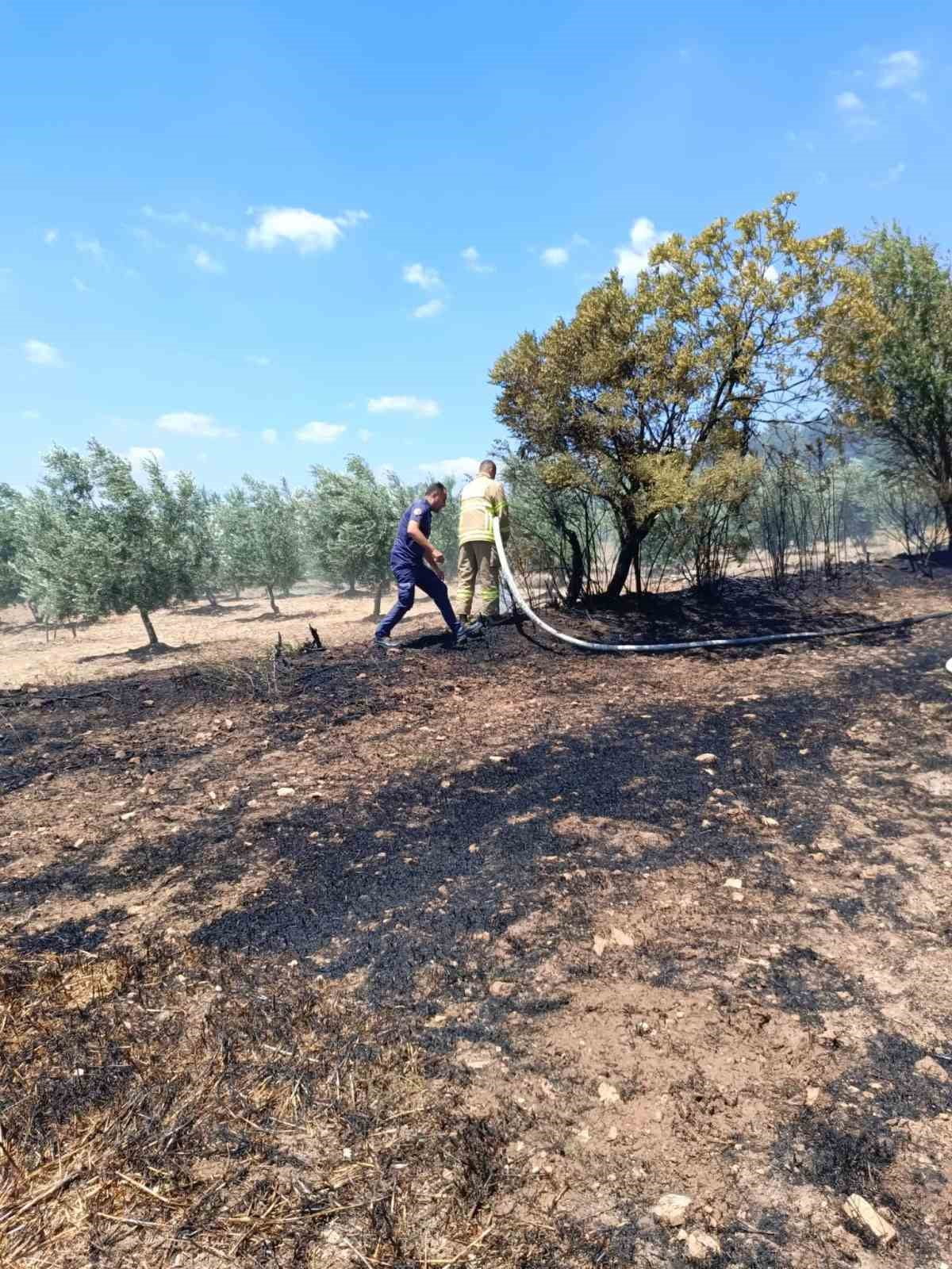 BALIKESİR'İN SAVAŞTEPE İLÇESİNDE BALYA MAKİNESİNDE ÇIKAN YANGIN TARLAYA SIÇRADI. ALEVLER...
