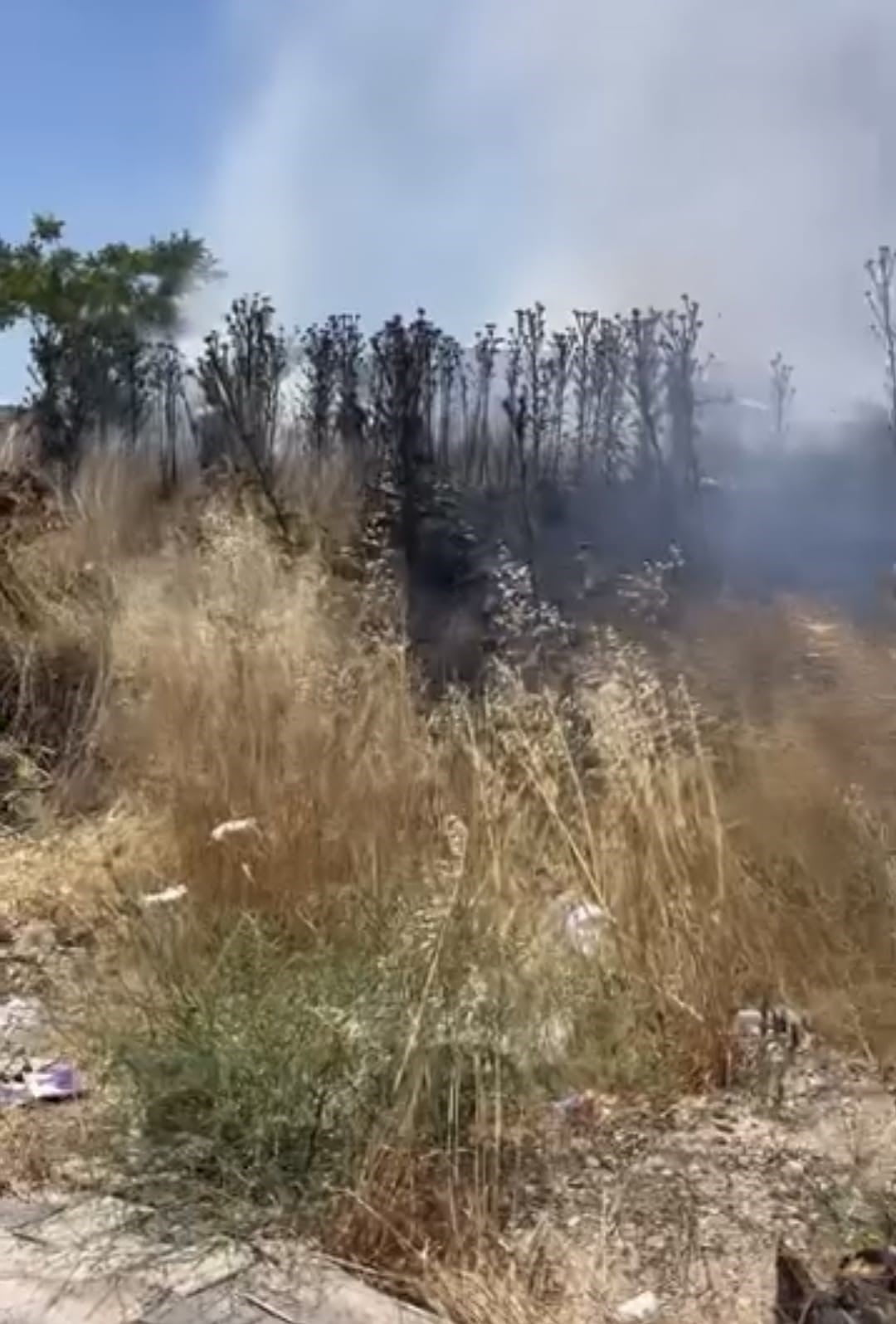 BALIKESİR'İN SUSURLUK İLÇESİNDE KAPALI PAZAR YERİNİN KARŞISINDA Kİ OTLUK ALANDA MEYDANA GELEN...