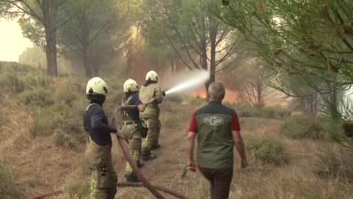Balıkesir’de orman yangınlarıyla mücadele sürüyor