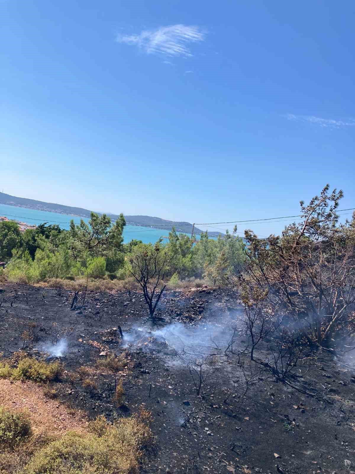 BALIKESİR’İN AYVALIK İLÇESİNE BAĞLI ALİBEY (CUNDA) ADASI'NDA ÇIKAN ORMAN YANGINI, EKİPLERİN HIZLI...