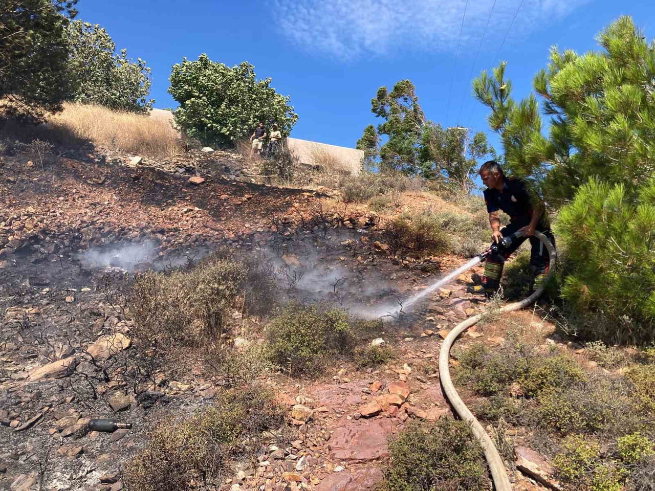 BALIKESİR’İN AYVALIK İLÇESİNE BAĞLI ALİBEY (CUNDA) ADASI'NDA ÇIKAN ORMAN YANGINI, EKİPLERİN HIZLI...