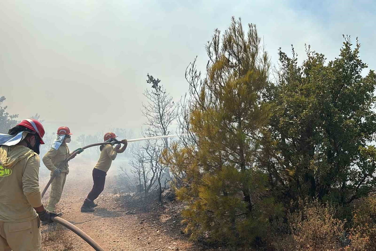 BALIKESİR’İN GÖMEÇ İLÇESİNE BAĞLI KUBAŞLAR MAHALLESİ’NDE ORMANLIK ALANDA ÇIKAN YANGINA EKİPLERİN...