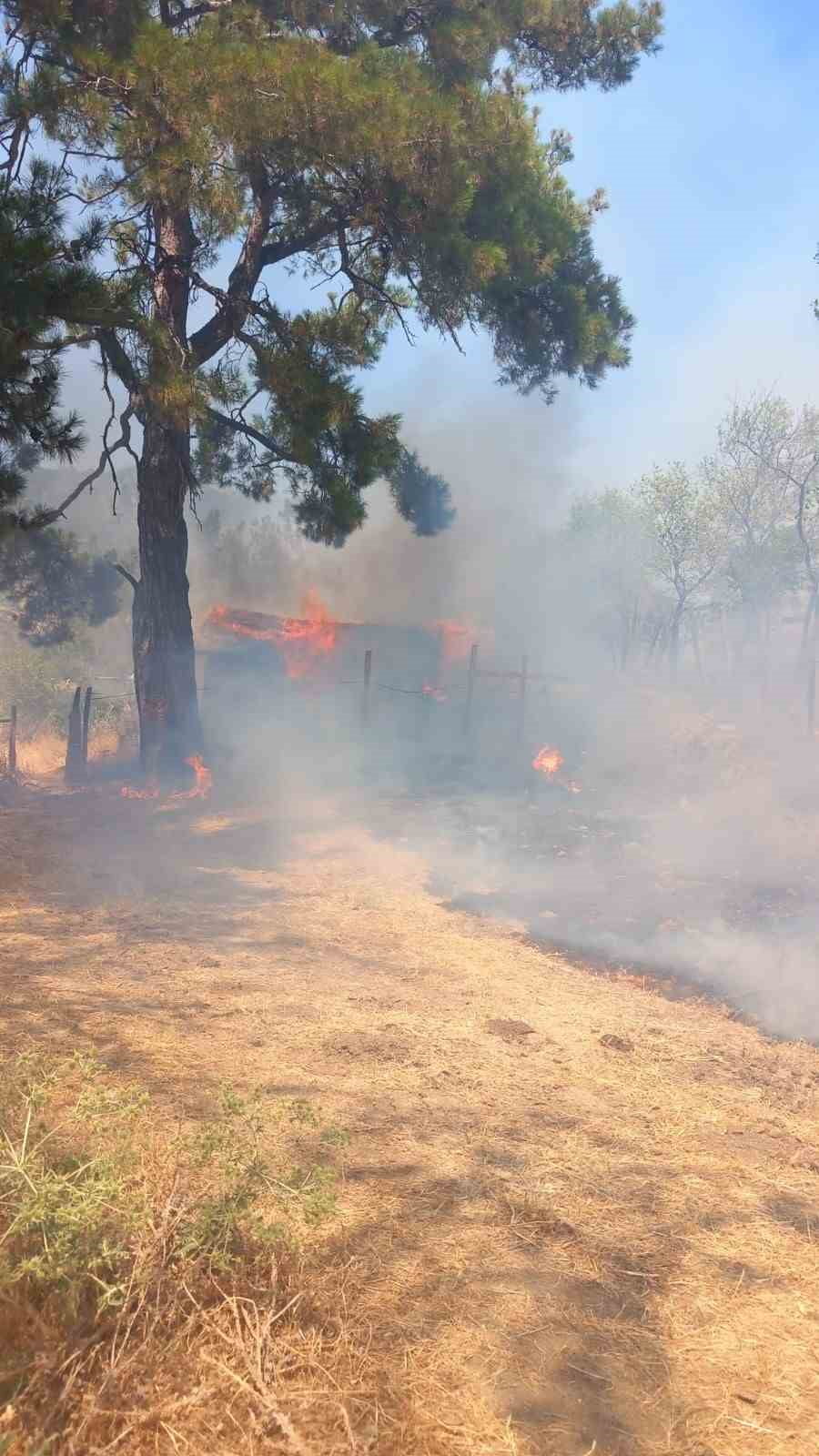 BALIKESİR’İN HAVRAN İLÇESİNE BAĞLI FAZLICA MAHALLESİ’NDE ORMAN DIŞI ALANDA ÇIKAN YANGINI KONTROL...