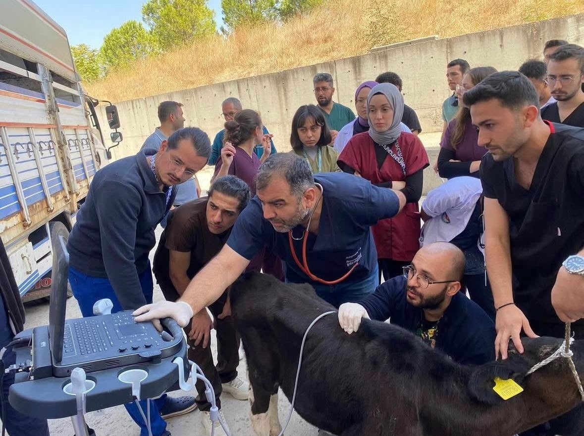 BALIKESİR VETERİNER FAKÜLTESİNDE BİN 250 HASTA HAYVANA TEŞHİS VE TEDAVİ HİZMETİ SUNULDU