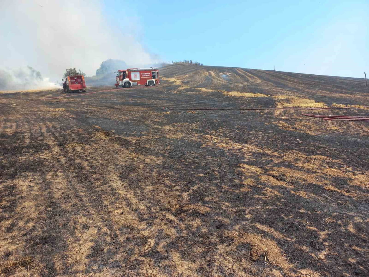BANDIRMA'DA 4 AYRI NOKTADA BAŞLAYAN ARAZİ YANGINI SÖNDÜRÜLDÜ