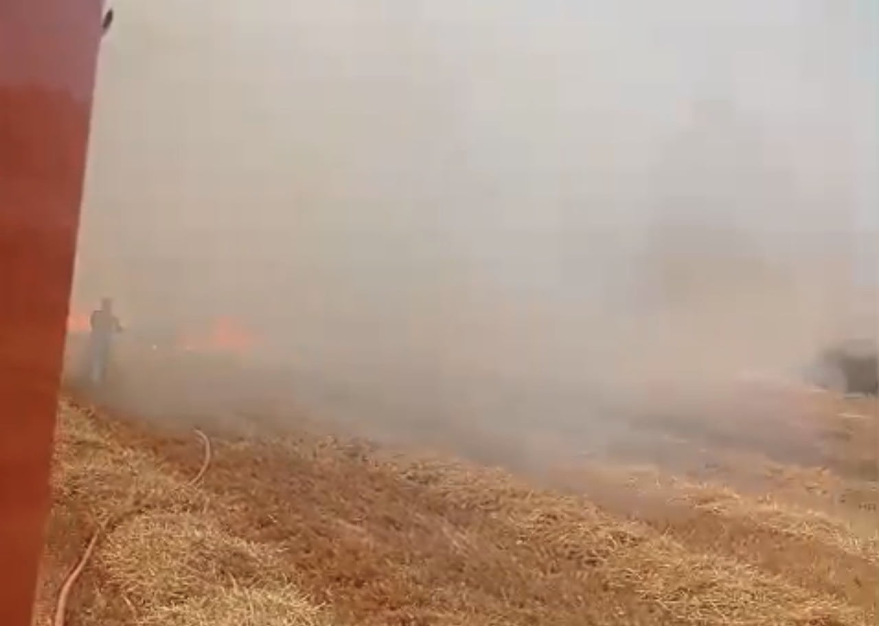 BANDIRMA'DA ANIZ VE ÇALILIK ALANDA ÇIKAN YANGIN SÖNDÜRÜLDÜ