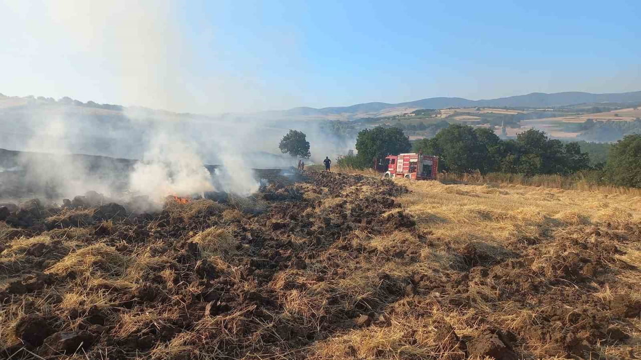 BANDIRMA'DA BUĞDAY TARLASINDA ÇIKAN YANGIN EKİPLERİN MÜDAHALESİYLE SÖNDÜRÜLDÜ
