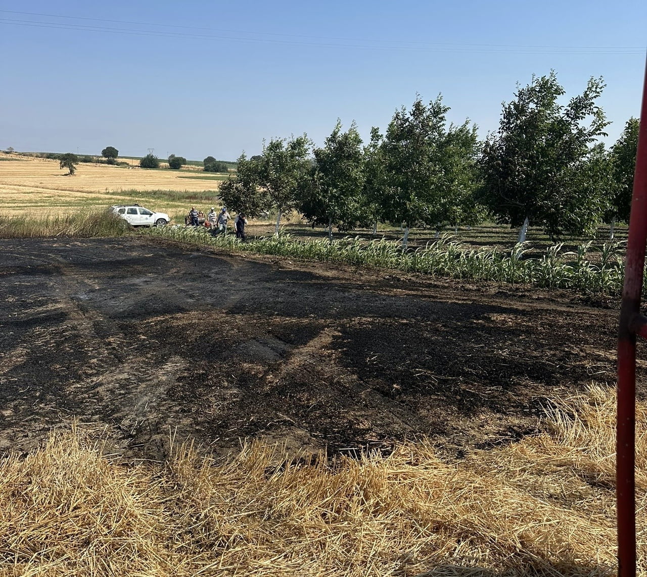 BANDIRMA'DA ÇIKAN ANIZ YANGINI BÜYÜMEDEN SÖNDÜRÜLDÜ