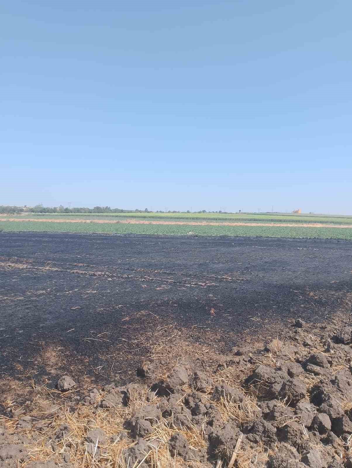 BANDIRMA'DA ÇIKAN ANIZ YANGINI İTFAİYE EKİPLERİNCE SÖNDÜRÜLDÜ