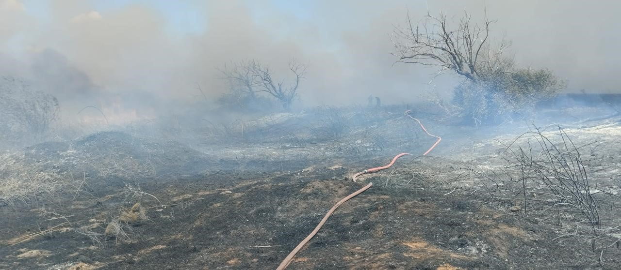 BANDIRMA’DA ARAZİ YANGINI KISA SÜREDE SÖNDÜRÜLDÜ