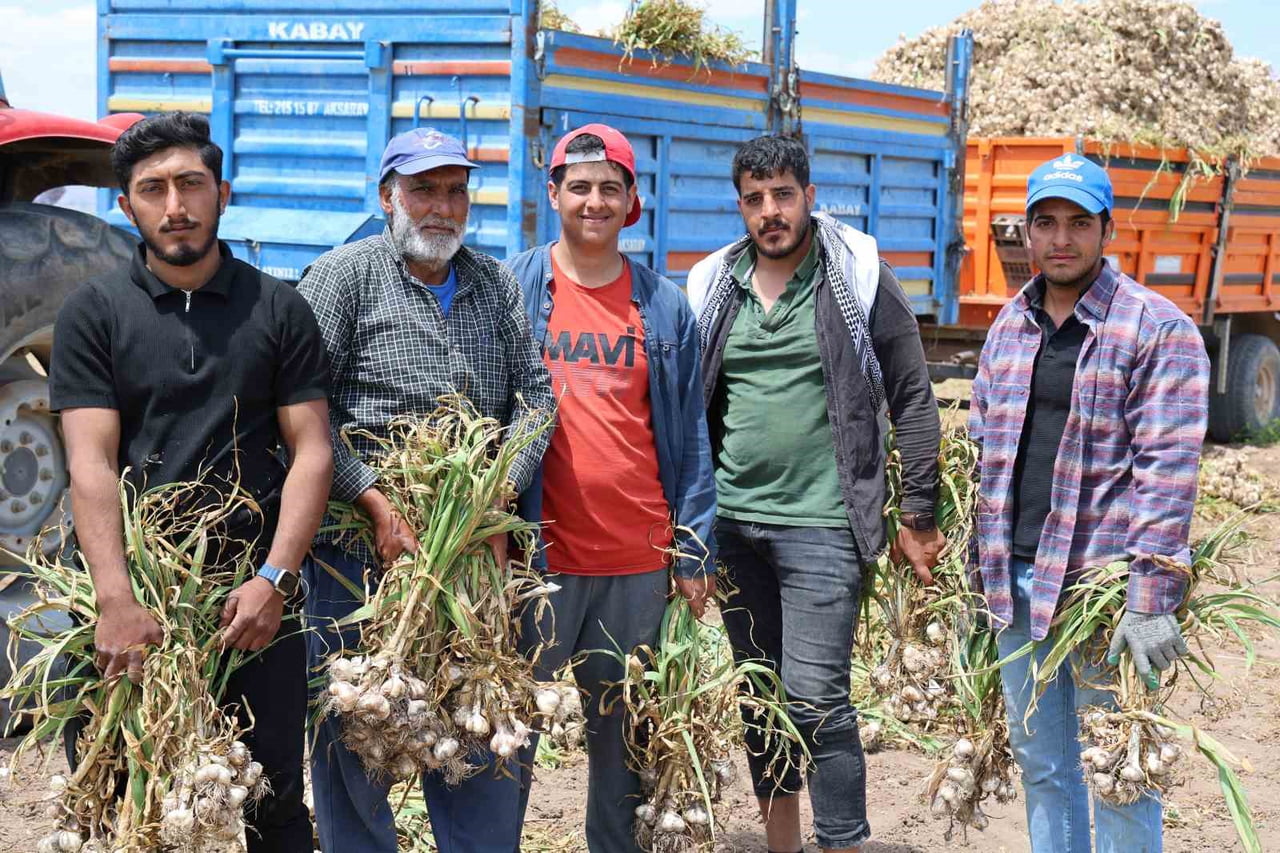 BAŞLIK PARASINA İSYAN EDEN GENÇ BAŞLIK PARASININ KALDIRILMASINI İSTERKEN, EVLİLİK ÇAĞINDA 3 ÇOCUĞU...