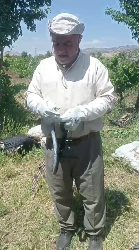BATMAN'DA DOĞAYA VE CANLILARA OLAN HASSASİYETİYLE TANINAN MOLLA HÜSEYİN BARLAK, BAHÇESİNDE...