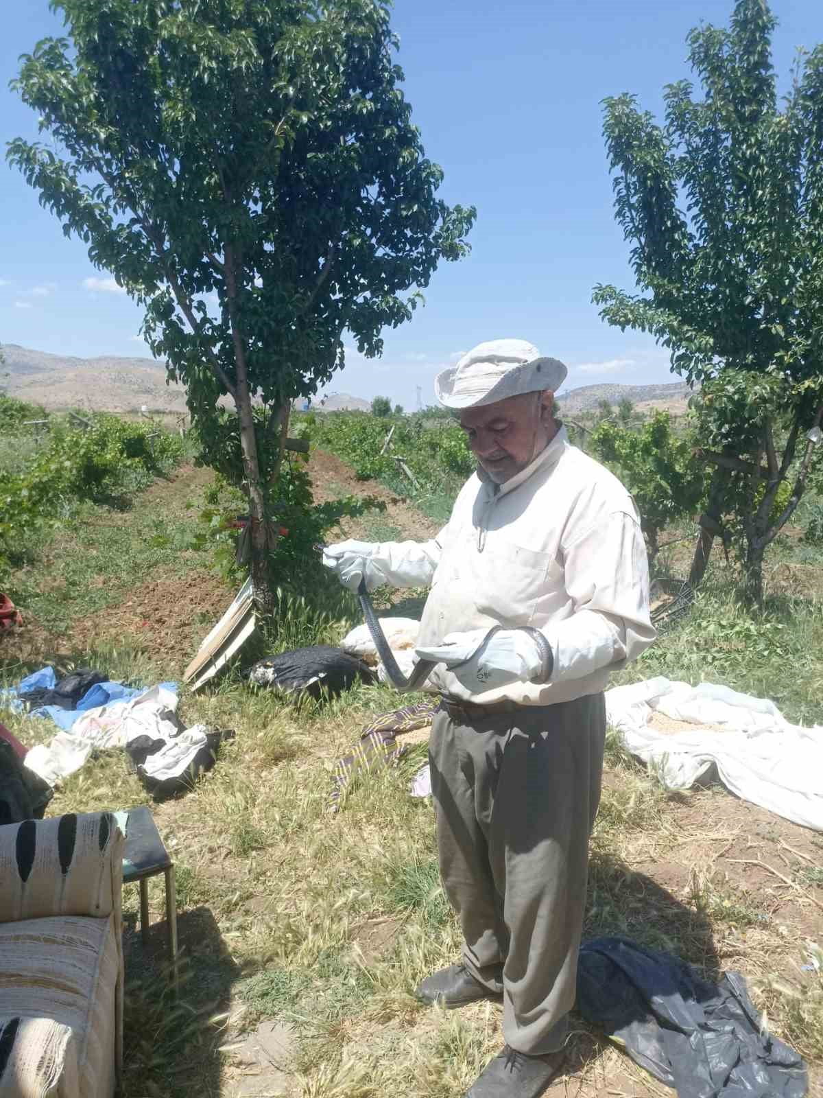BATMAN'DA DOĞAYA VE CANLILARA OLAN HASSASİYETİYLE TANINAN MOLLA HÜSEYİN BARLAK, BAHÇESİNDE...
