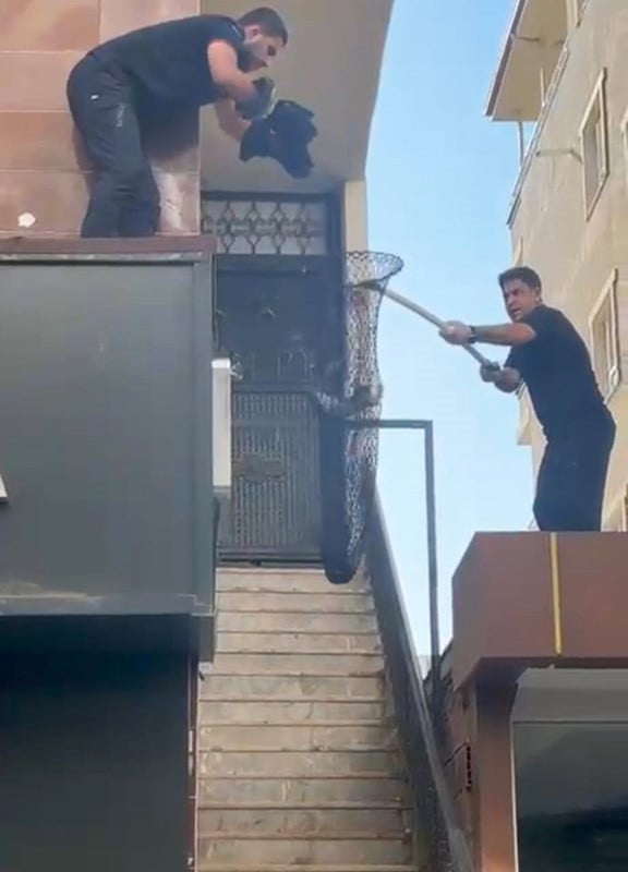 BATMAN'DA KİLİTLİ METRUK BİNADA MAHSUR KALAN 5 YAVRU KEDİ, İTFAİYE VE POLİSİN ORTAK OPERASYONUYLA...