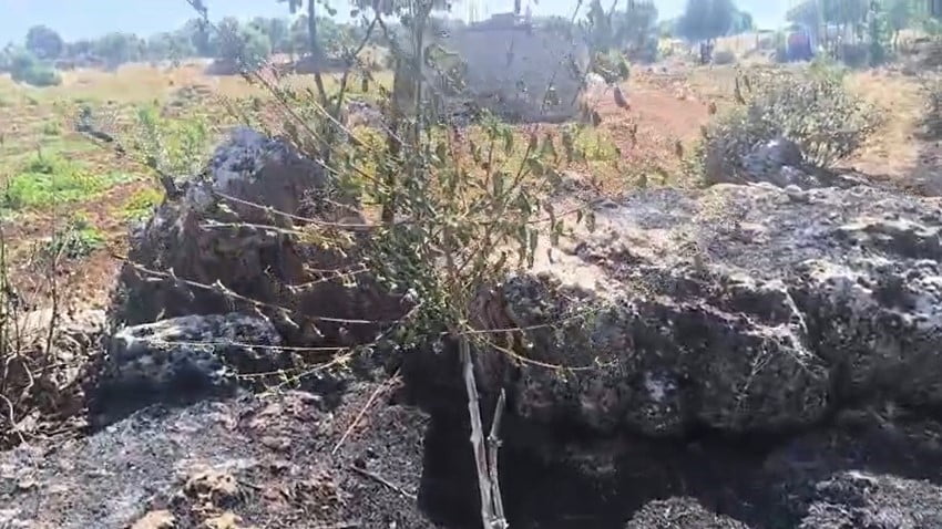 BAZI ARAZİ SAHİPLERİ ALEVLERİN ARAZİLERİNE, BAĞINA SIÇRAMAMASI İÇİN YANGINI SÖNDÜRMEYE GELEN...
