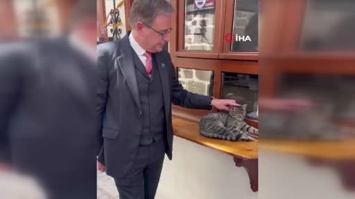 Belçika Başkanı Wever Ankara’da kedi sevdi
