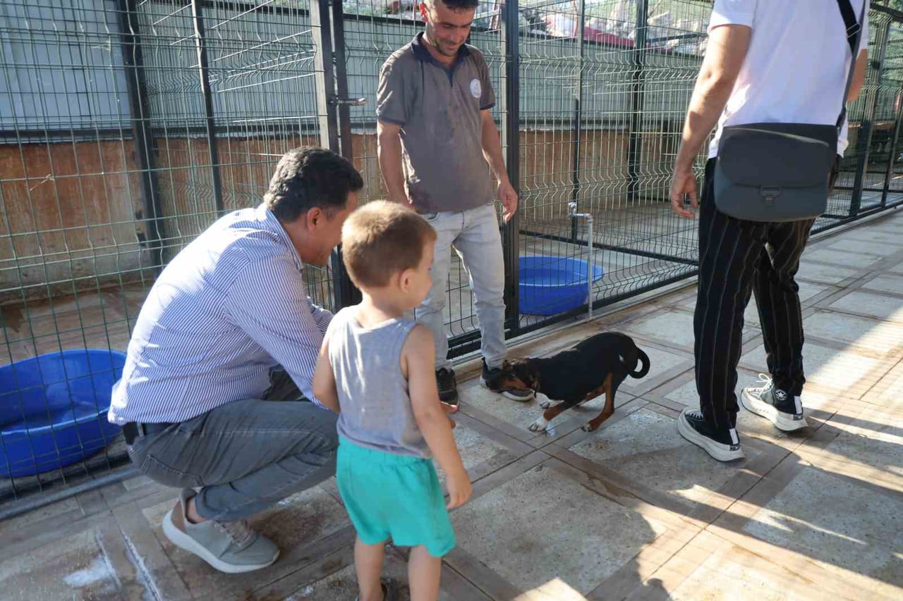BELEDİYEYE AİT ORMANLIK ALANDA KURULAN MERKEZDE 20 PADOK, 4 DOĞAL YAŞAM ALANI, AMELİYATHANE...