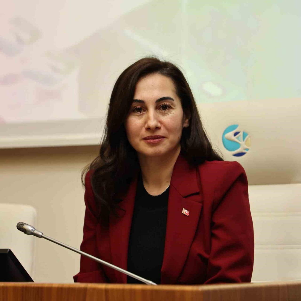 BEYKOZ BELEDİYE MECLİSİ TEMMUZ AYI İLK BİRLEŞİMİ, CHP MECLİS ÜYELERİNİN MECLİS SALONUNA İNMEMESİ...