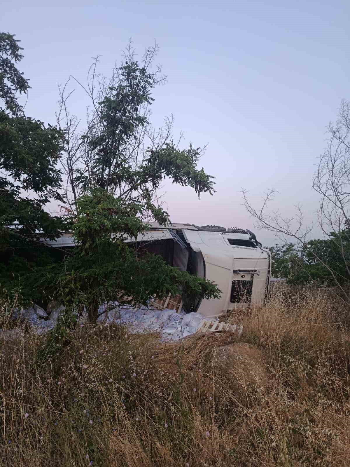 BİLECİK'İN SÖĞÜT İLÇESİNDE KONTROLDEN ÇIKARAK YAN YATAN TIRIN SÜRÜCÜSÜ YARALANDI