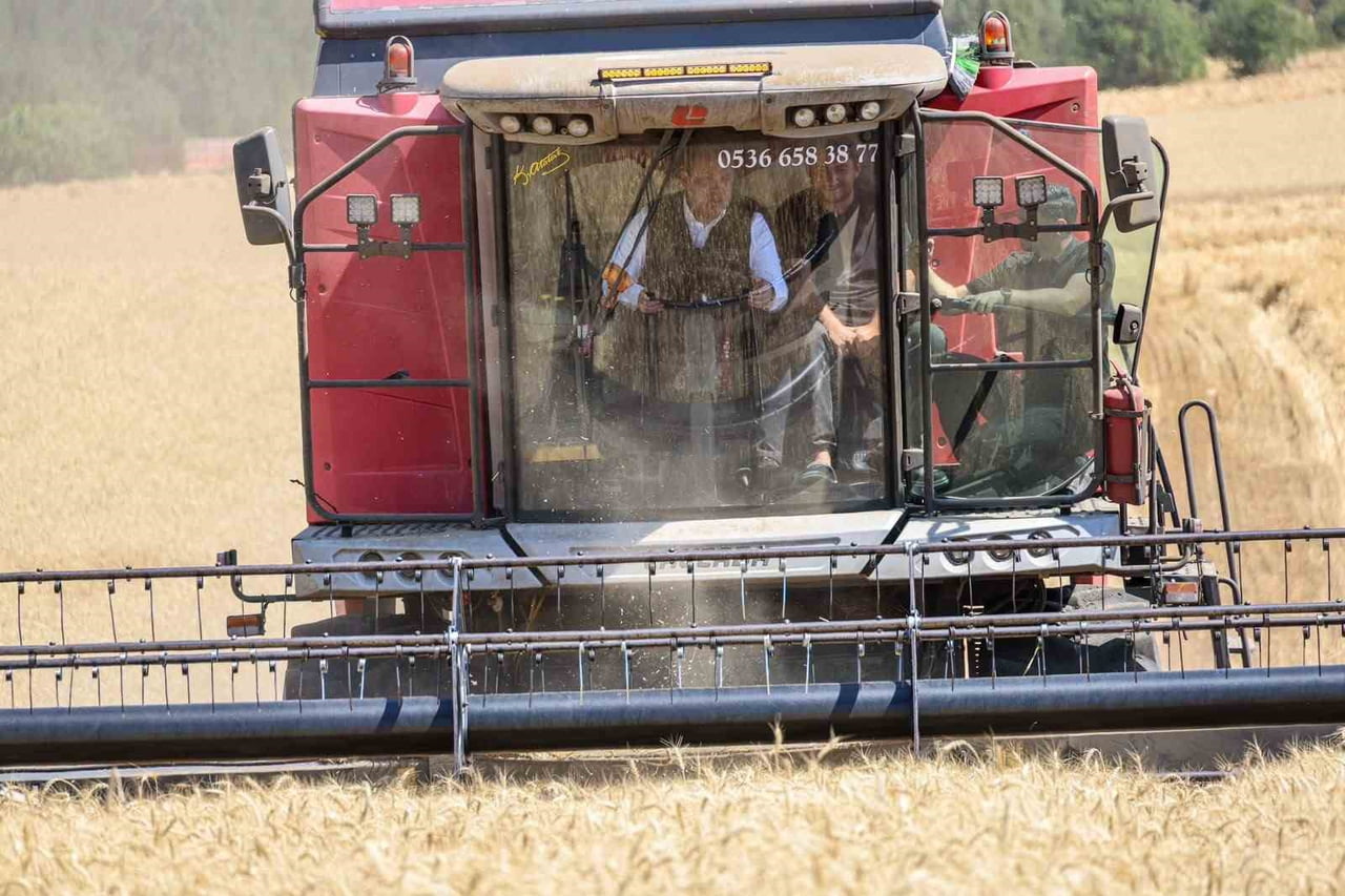 BİLECİK'TE BU YIL 335 BİN DEKAR ALANDA 167 BİN 500 TON BUĞDAY ÜRETİMİ BEKLENİYOR