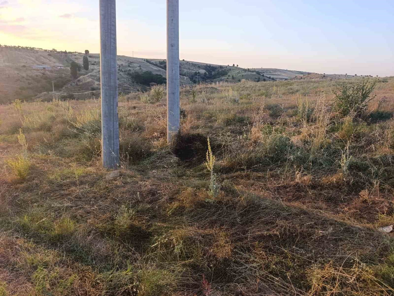 BİLECİK'TE ELEKTRİK AKIMINA KAPILAN KUŞ YANGINA SEBEP OLDU