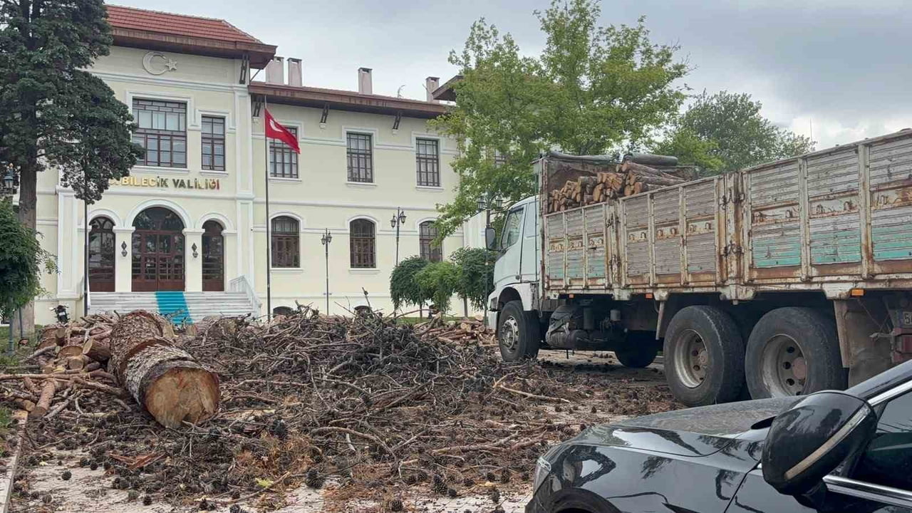 BİLECİK VALİLİĞİ BAHÇESİNDEKİ BAZI ÇAM AĞAÇLARI HASTALIKLAR NEDENİYLE KURUDUĞU, YAPISAL...