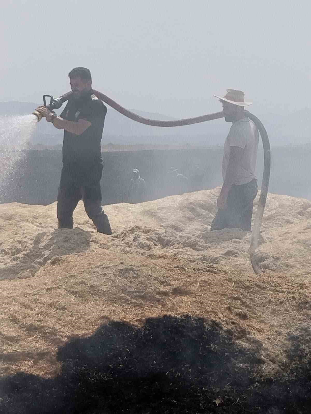 BİNGÖL'DEKİ ANIZ YANGININDA 2 BİN DÖNÜM ARAZİ ZARAR GÖRDÜ