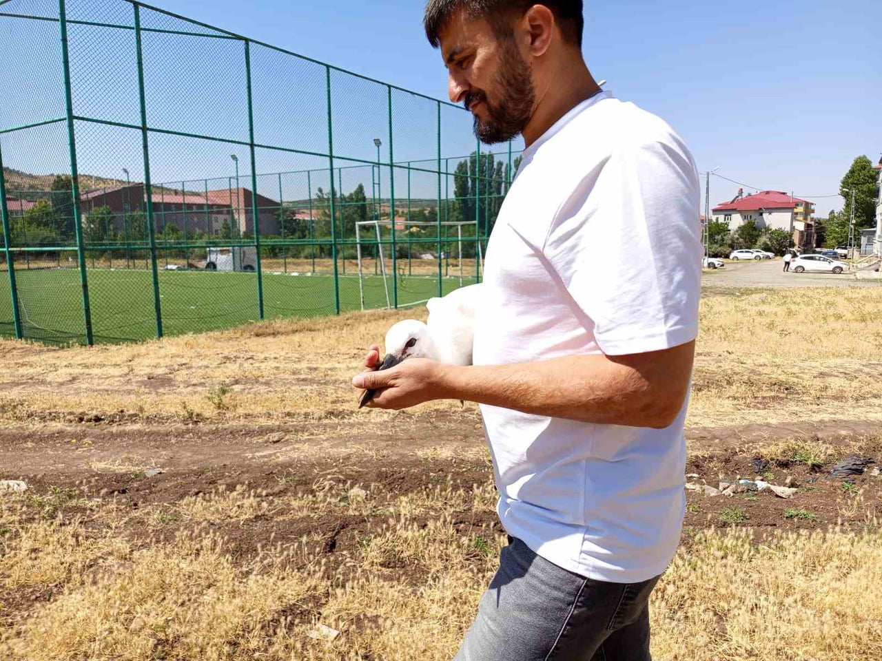 BİNGÖL’DE DEFALARCA YUVASINDAN DÜŞEN YAVRU LEYLEK, ESNAF TARAFINDAN DOĞAL YAŞAM ALANINA...