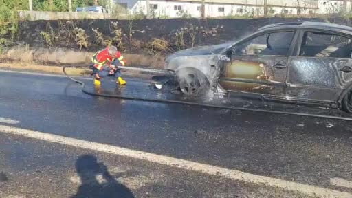 Bingöl’de otomobil alevlere teslim oldu
