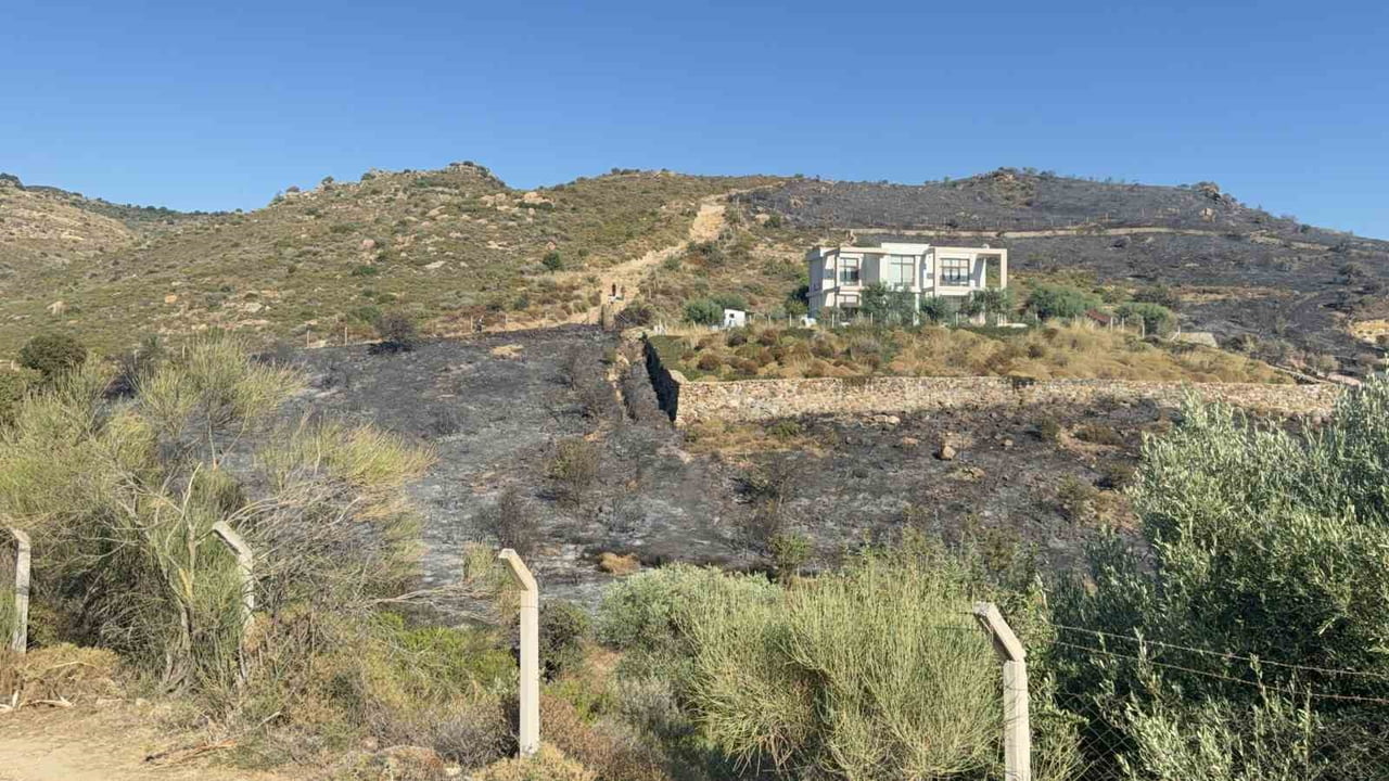 BODRUM’DA MAKİLİK YANGINI KONTROL ALTINA ALINDI