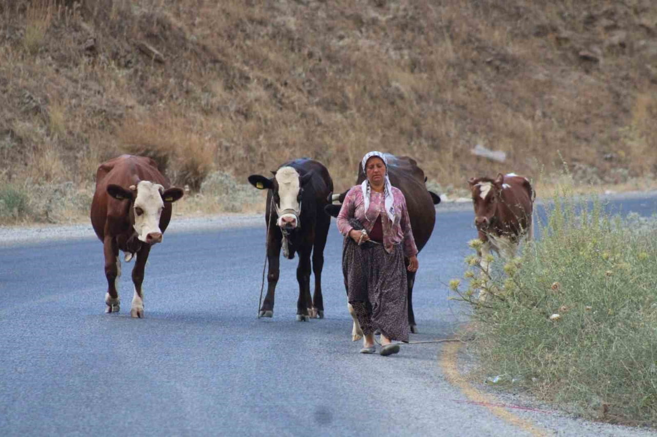 BÖLGEDE ETKİLİ OLAN RÜZGAR SEBEBİYLE ALEVLER GENİŞ ALANA YAYILDI. YANGINA 4 HELİKOPTER VE 2 UÇAK...