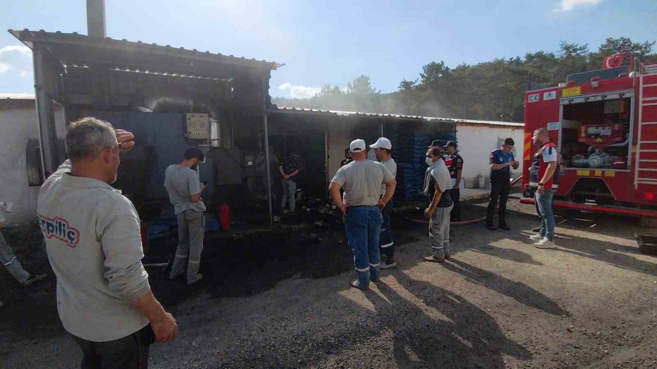 BOLU'DA FAALİYET GÖSTEREN ERPİLİÇ FİRMASINA AİT DAMIZLIK KÜMESLERİNDE ÇIKAN YANGIN İŞÇİLERE KORKU...