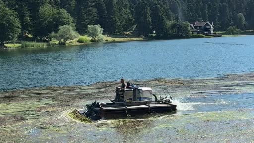 Bolu'nun doğa harikası Gölcük Tabiat Parkı'nın göl yüzeyi temizleniyor