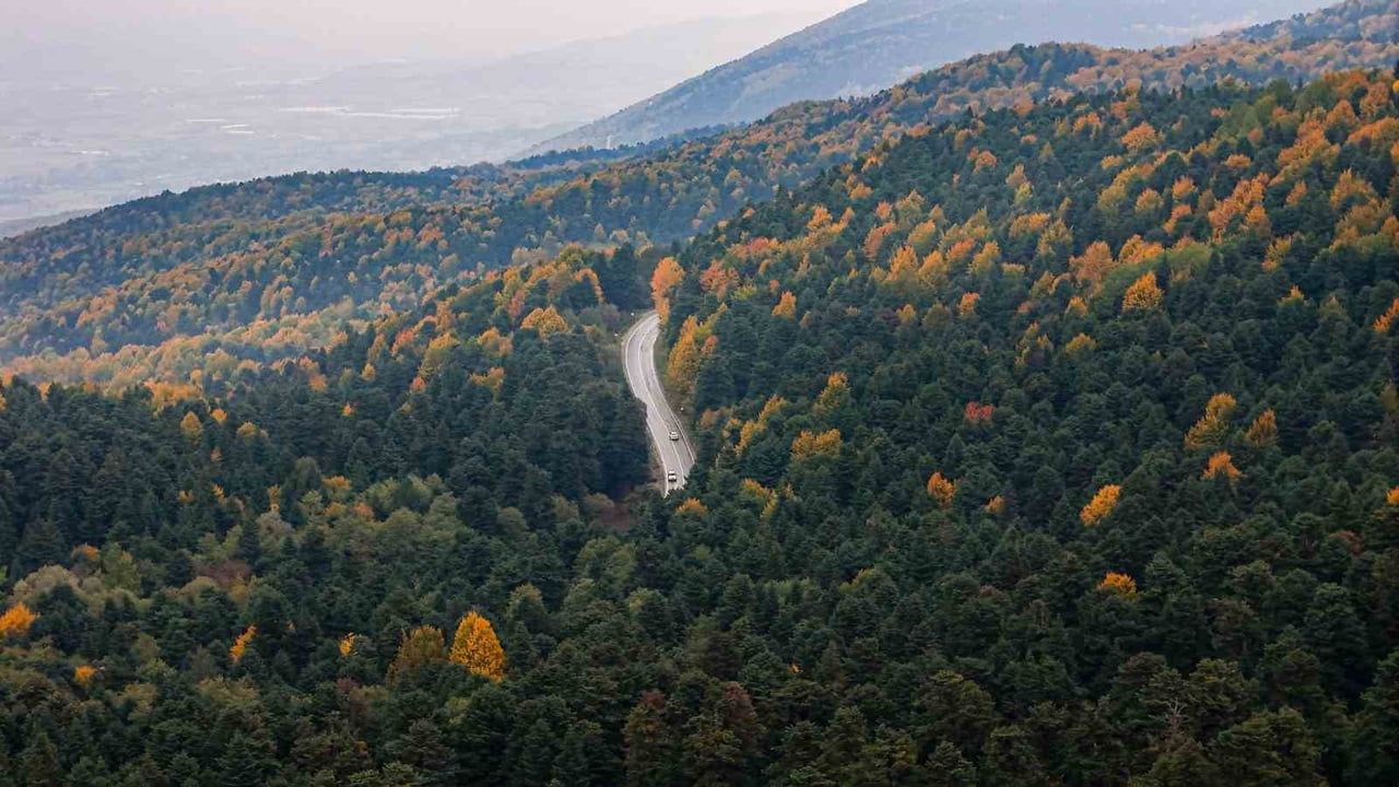 BOLU’DA, ORMAN YANGINI RİSKİNE KARŞI 15 TEMMUZ-30 EYLÜL TARİHLERİ ARASINDA ORMANLIK ALANLARA GİRİŞ...