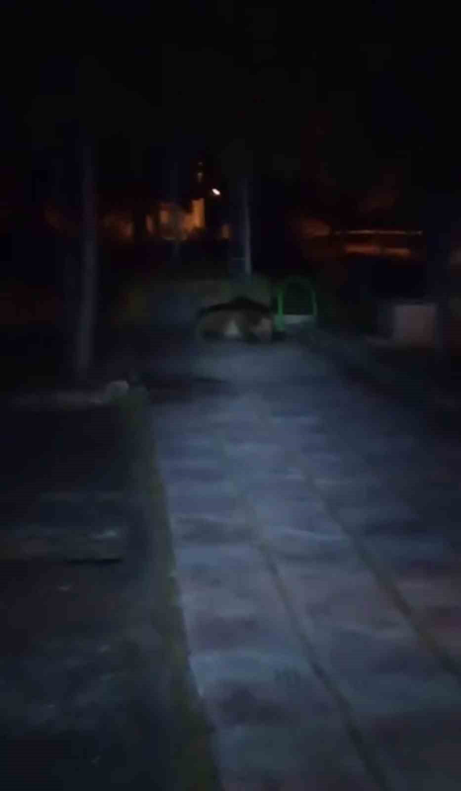 BOLU’NUN KIBRISCIK İLÇESİNDE GECE SAATLERİNDE ÇOCUK PARKINA GİREN AYI, CEP TELEFONU KAMERASIYLA...