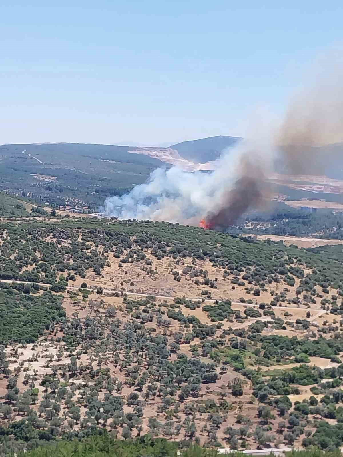 BORNOVA İLÇESİNDE ORMANLIK ALANDA ÇIKAN YANGINA, EKİPLERİN HAVADAN VE KARADAN MÜDAHALE...