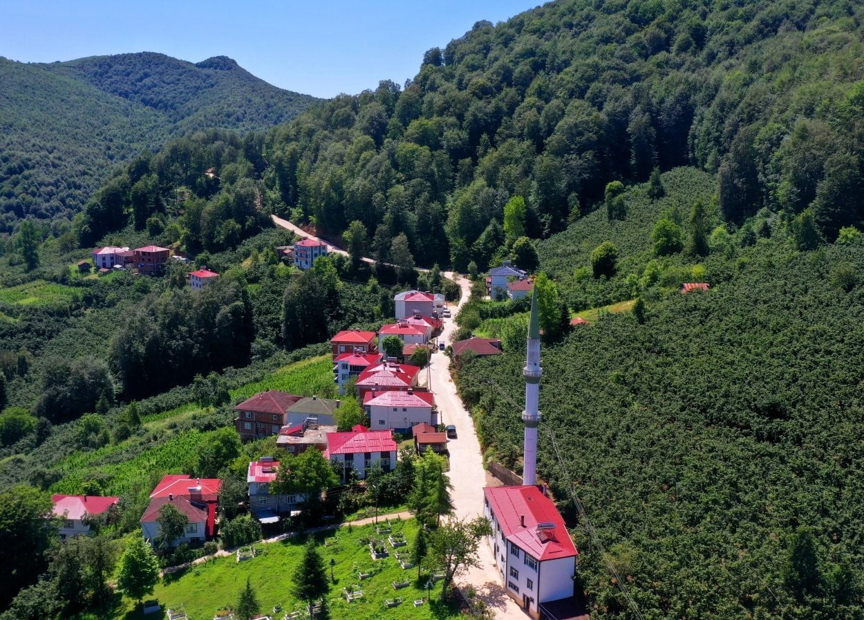 BU KAPSAMDA AYBASTI İLÇESİ ALACALAR MAHALLESİ ŞAHANLI MEVKİSİNDE YÜRÜTÜLEN BETON YOL ÇALIŞMALARI...