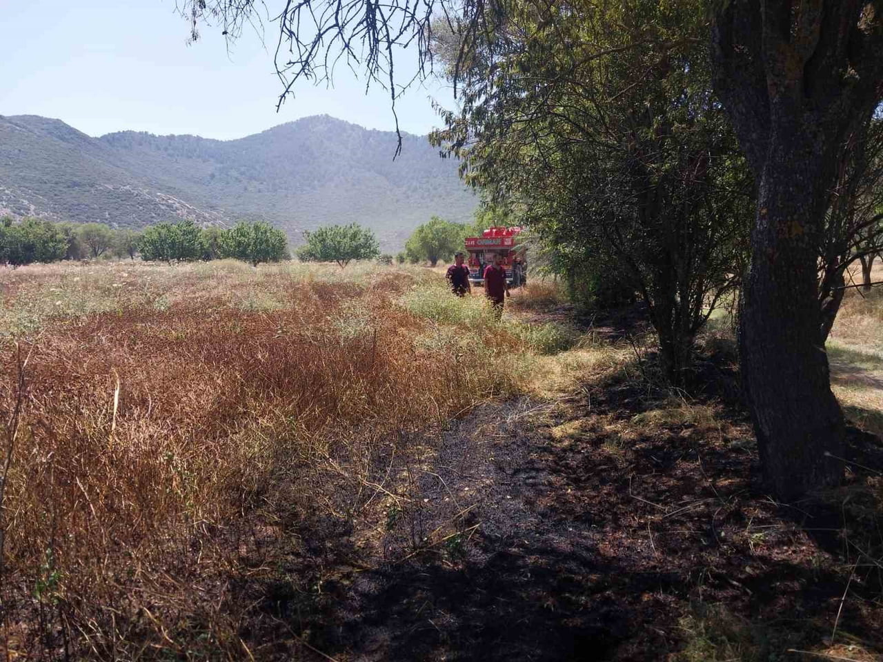 BUCAK İLÇESİNDE TARLADA ÇIKAN ANIZ YANGINI, EKİPLERİN ZAMANINDA MÜDAHALESİYLE BÜYÜMEDEN...