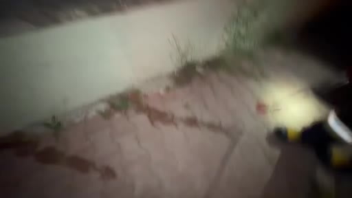 Burdur'da cami yanında yakalanan yılan, doğal yaşam alanına salındı