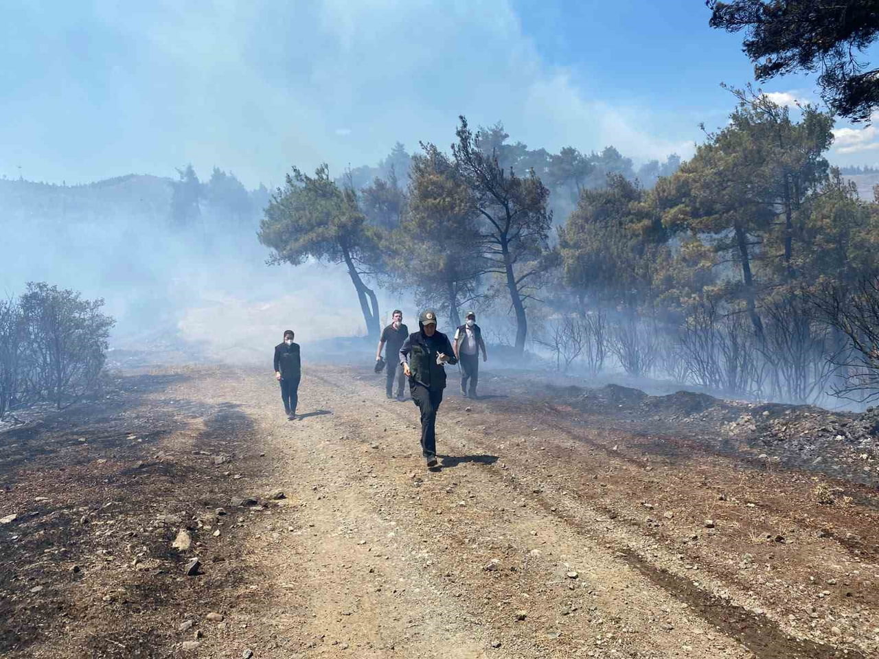 BURSA'NIN BÜYÜKORHAN İLÇESİNDE OTLUK ALANDA BAŞLAYARAK ORMANLIK ALANA SIÇRAYAN YANGIN, EKİPLERİN...