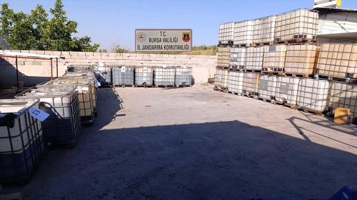 BURSA'NIN GEMLİK İLÇESİNDE JANDARMA EKİPLERİNCE DÜZENLENEN OPERASYONDA PİYASA DEĞERİ YAKLAŞIK 10...