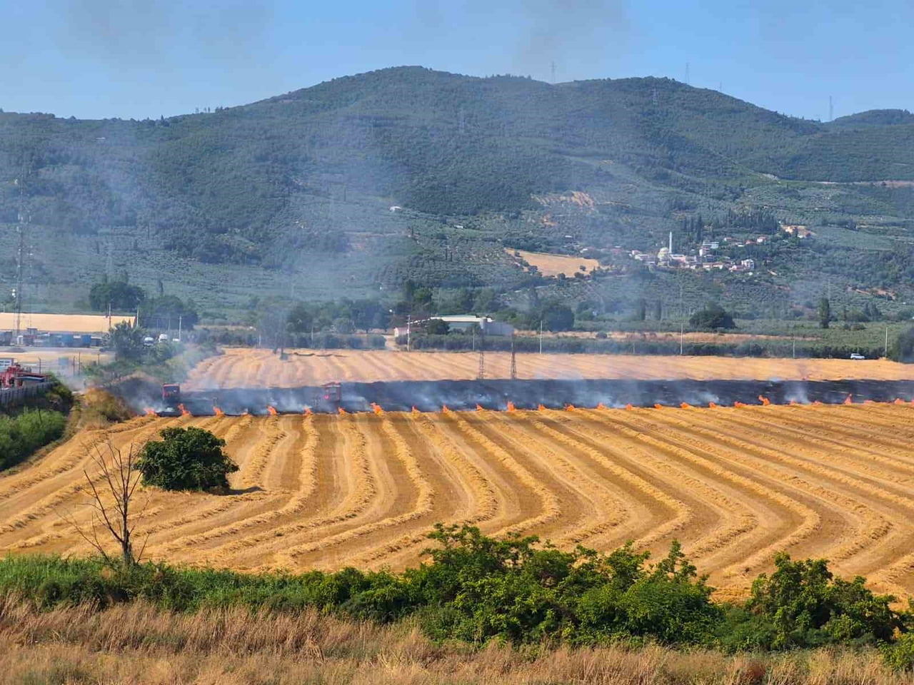 BURSA'NIN GEMLİK İLÇESİNDE YAŞANAN OTLUK YANGINI İTFAİYE EKİPLERİNİN ZAMANINDA MÜDAHALESİYLE...
