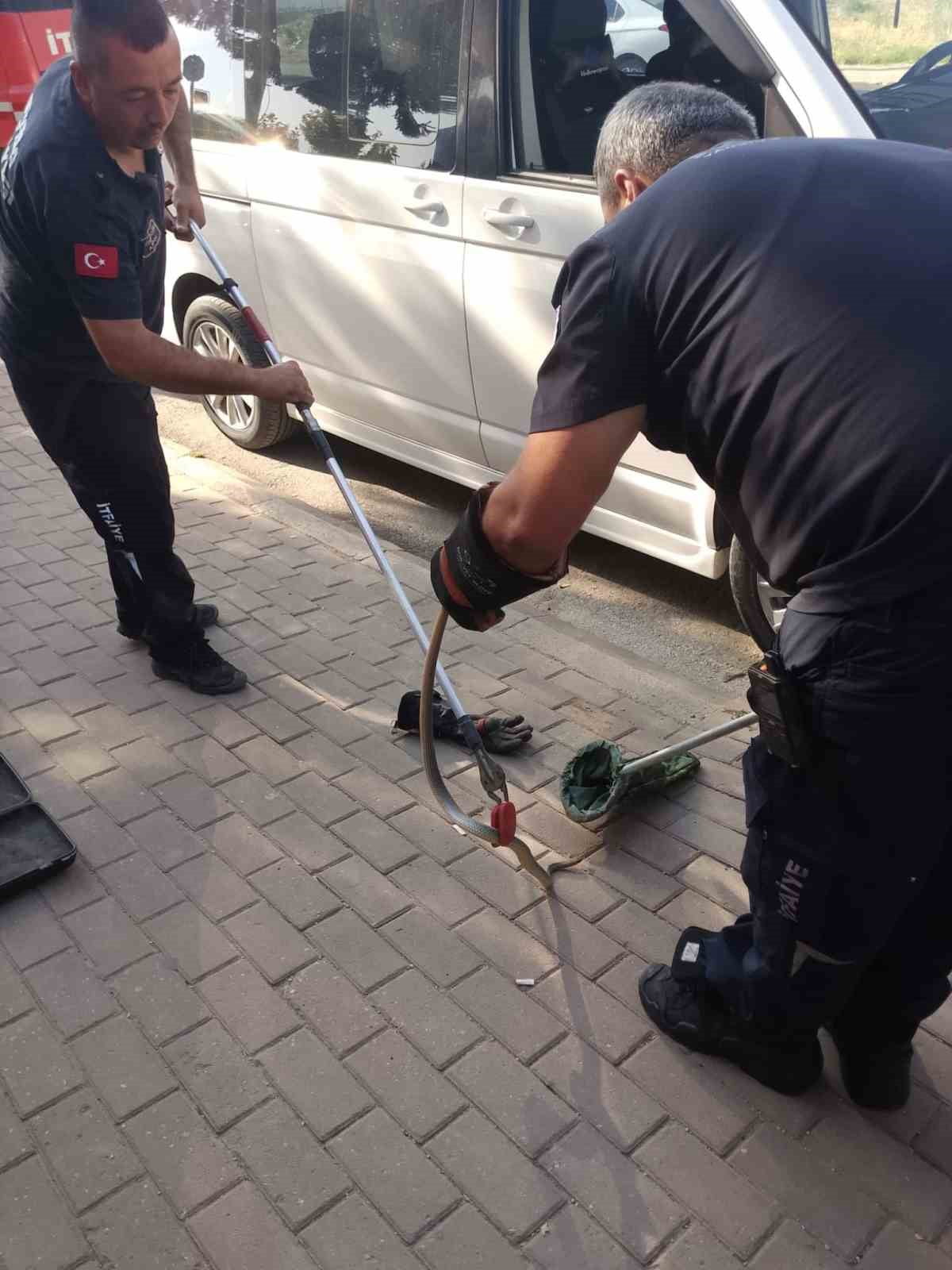 BURSA'NIN İNEGÖL İLÇESİNDE PARK HALİNDEKİ BİR MİNİBÜSÜN MOTOR KISMINA GİREN YILAN, İTFAİYE...