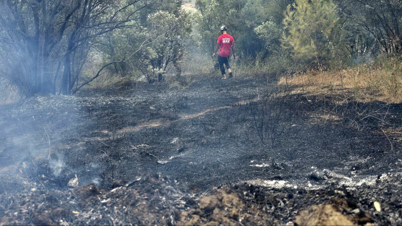BURSA'NIN MUDANYA İLÇESİNDE ÇIKAN YANGIN, KISA SÜREDE RÜZGARIN ETKİSİYLE ZEYTİNLİK VE KISMEN...