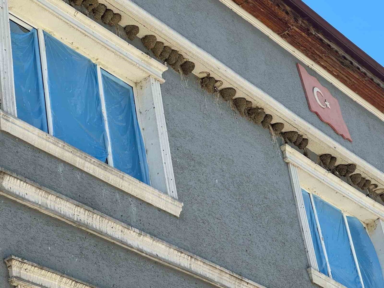 BURSA'NIN NİLÜFER İLÇESİNDE YER ALAN KIRSAL FADILLI MAHALLESİ, HER YIL BİNLERCE KIRLANGICIN...