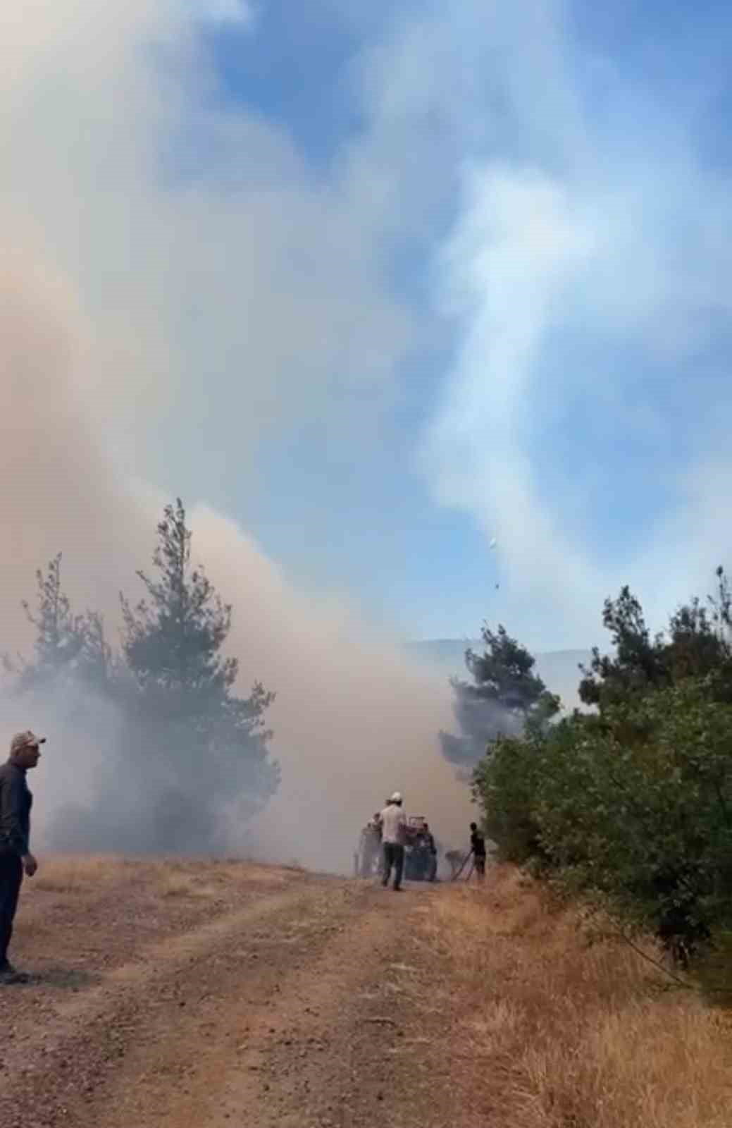 BURSA’DA OTLUK ALANDA BAŞLAYAN YANGIN ORMANA SIÇRADI