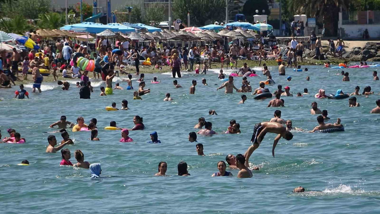 BURSA SAHİLLERİNDEN SEVİNDİREN HABER GELDİ (ARŞİV)