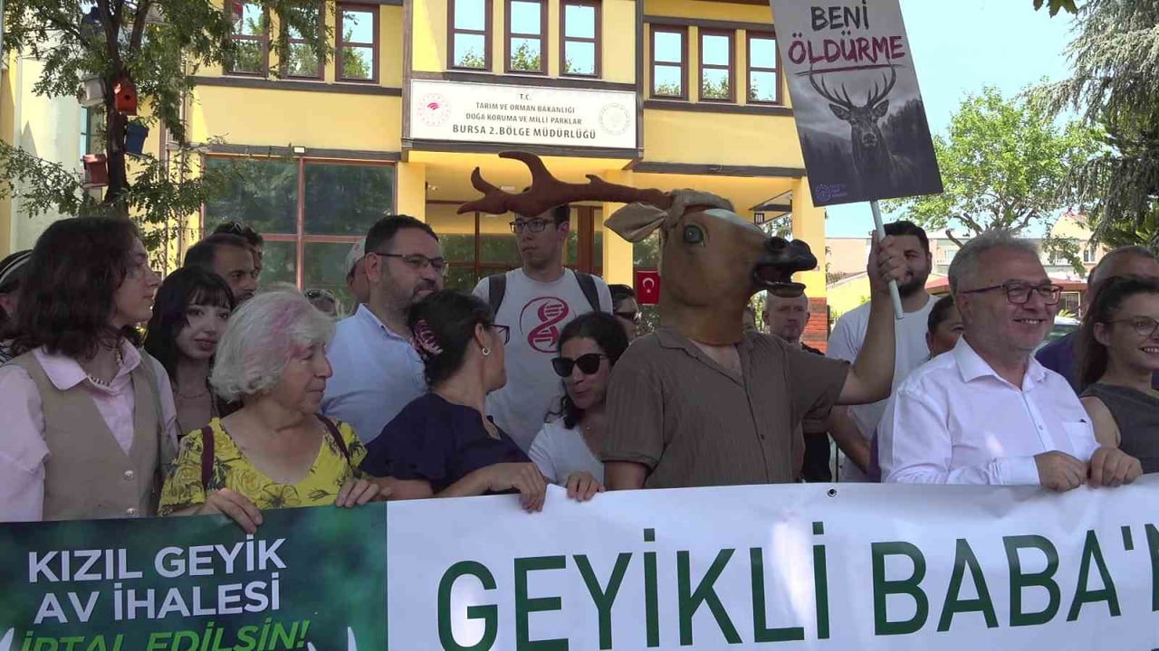 BURSA VETERİNER HEKİMLERİ ODASI BAŞKANI MELİKE BAYSAL, KIZIL GEYİK AV İHALESİNE YÖNELİK DÜZENLENEN...